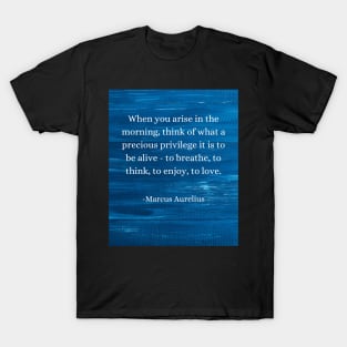 Marcus Aurelius: Morning Privilege, Embrace Life's Beauty T-Shirt